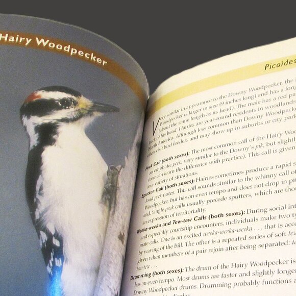 NWOT Know Your Bird Sounds Book Volume 2  Lang Elliott Audio CD Vol 2 - Picture 8 of 14